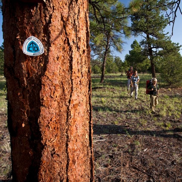 A landowner’s change of mind or a change in ownership could easily force a trail to reroute or run alongside developed land instead of the wilderness.