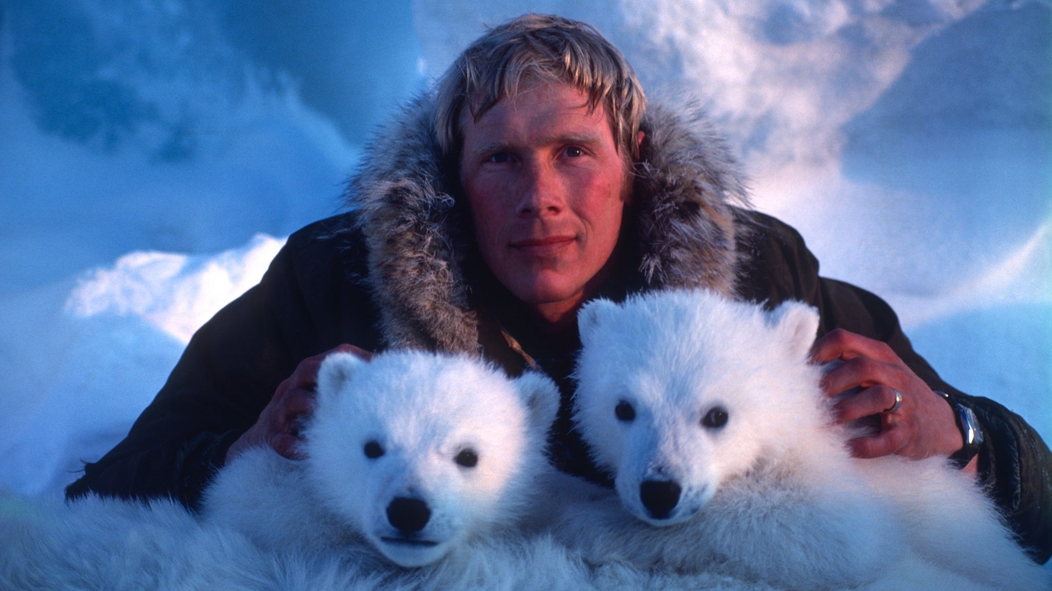 Steven Amstrup with two of his research subjects 