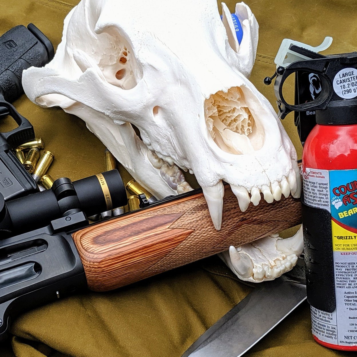 A brown bear skull taken by my father-in-law on Kodiak Island, Alaska, along with some of the bear-defense tools I carry here in Montana.