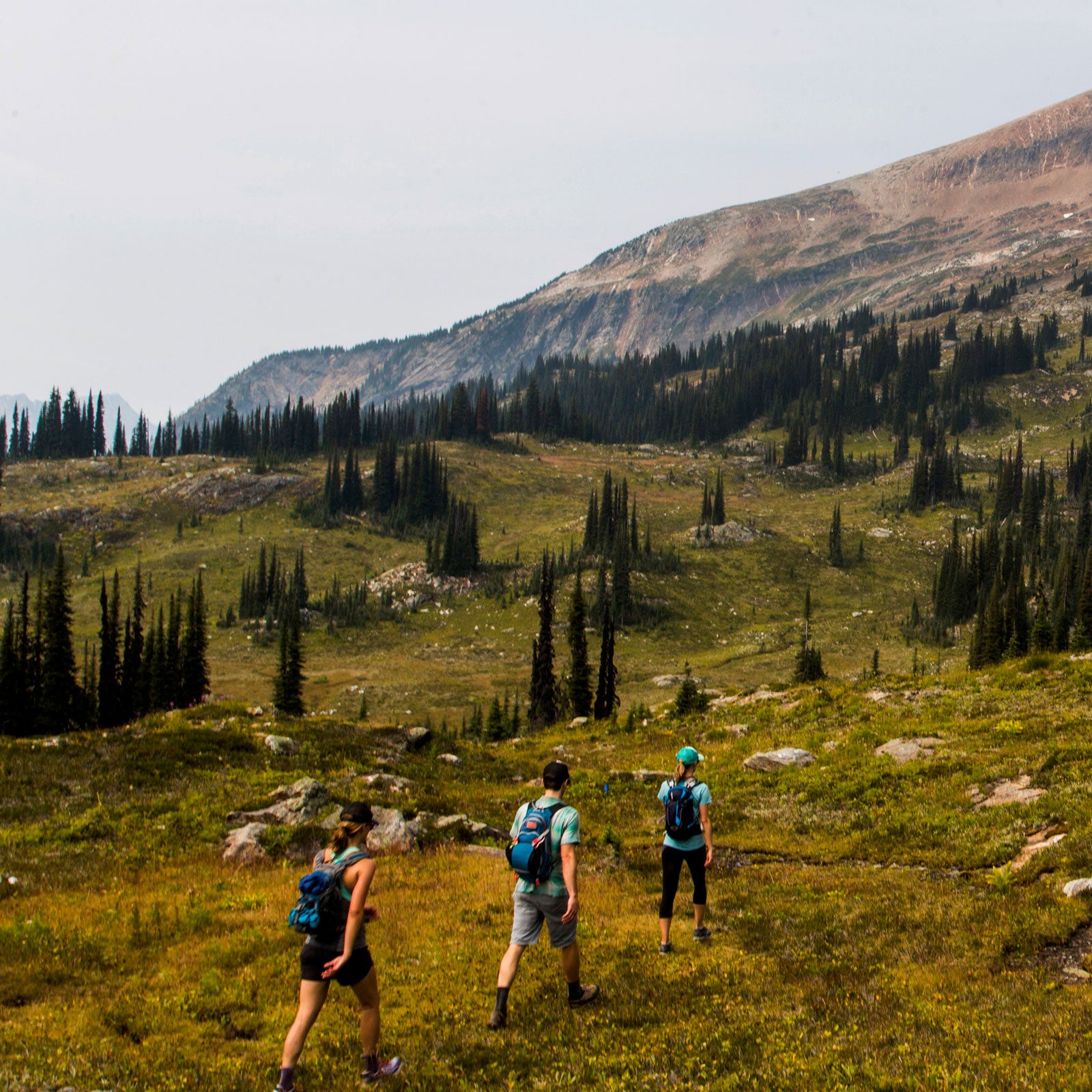 The art of altitude training is trickier than you might suspect.