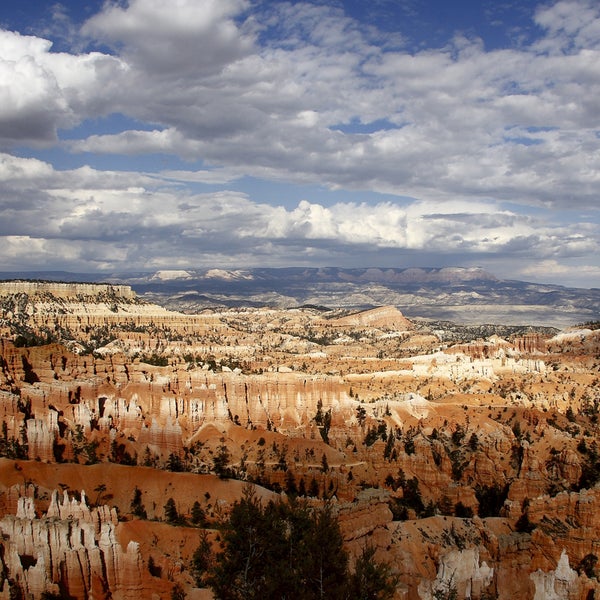 NPS View
