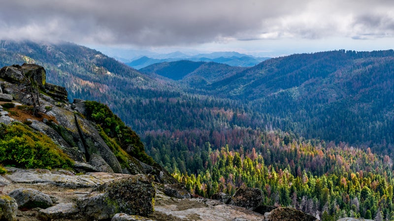 National Parks