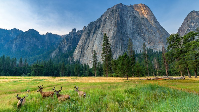 National Parks