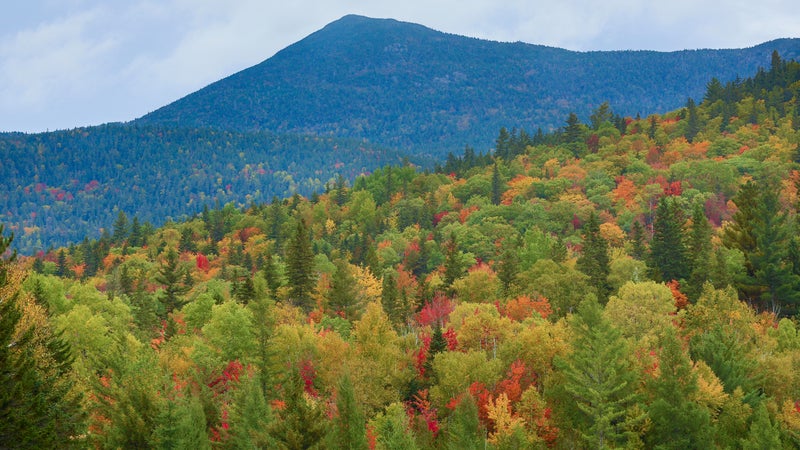 Fall in New England
