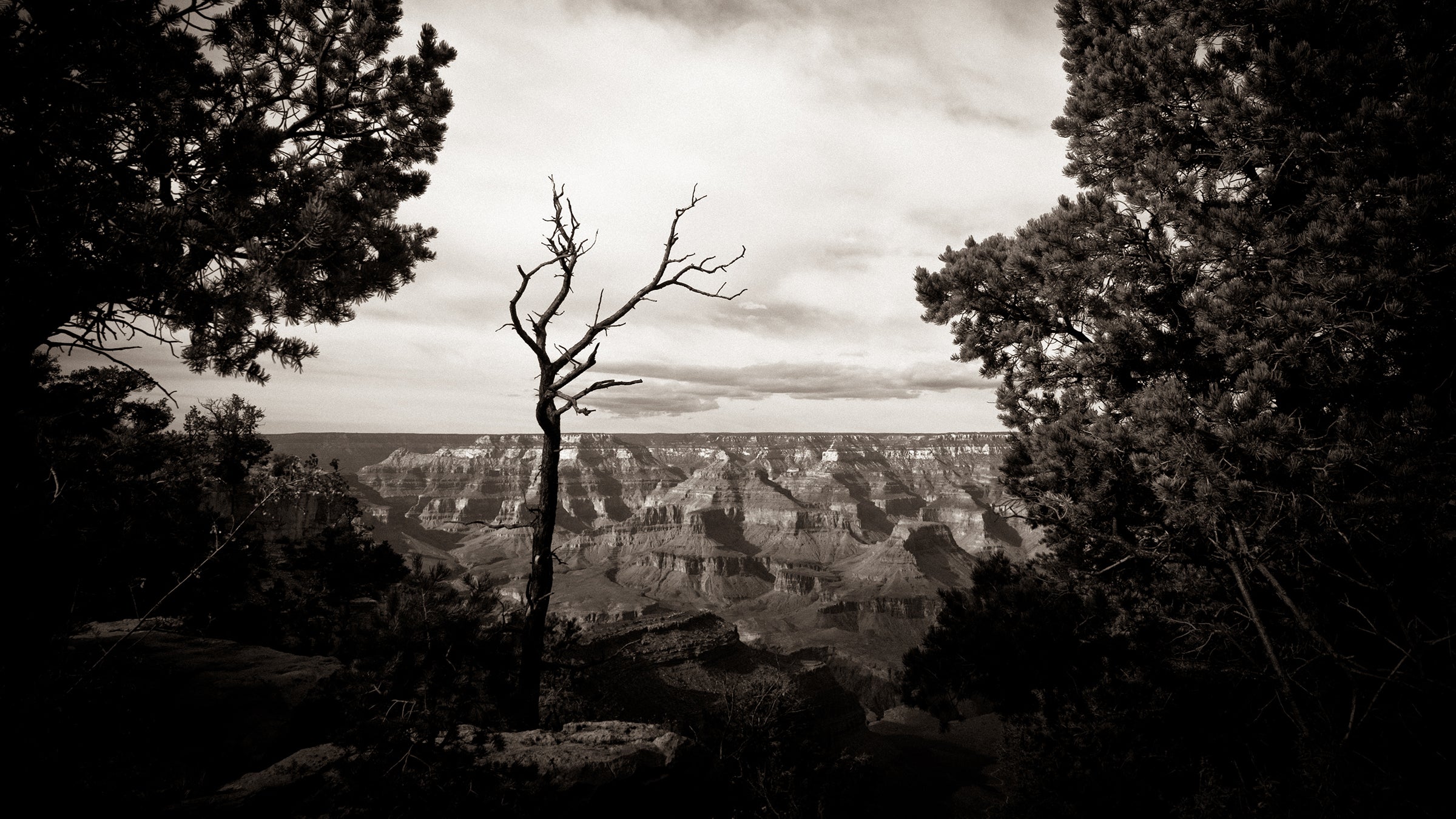 While the drama has largely gone unseen by the park’s six million annual visitors, the toxic work environment has taken a heavy toll on employees.