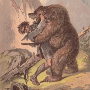 Bear-human encounters are on the rise, in part because more people than ever before are heading out into bear country.