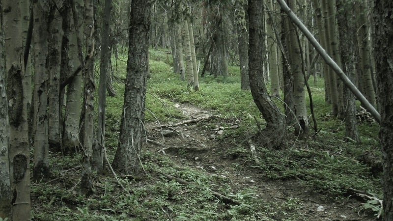Spooky campsites