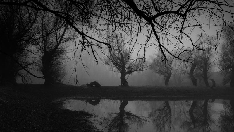 Spooky campsites