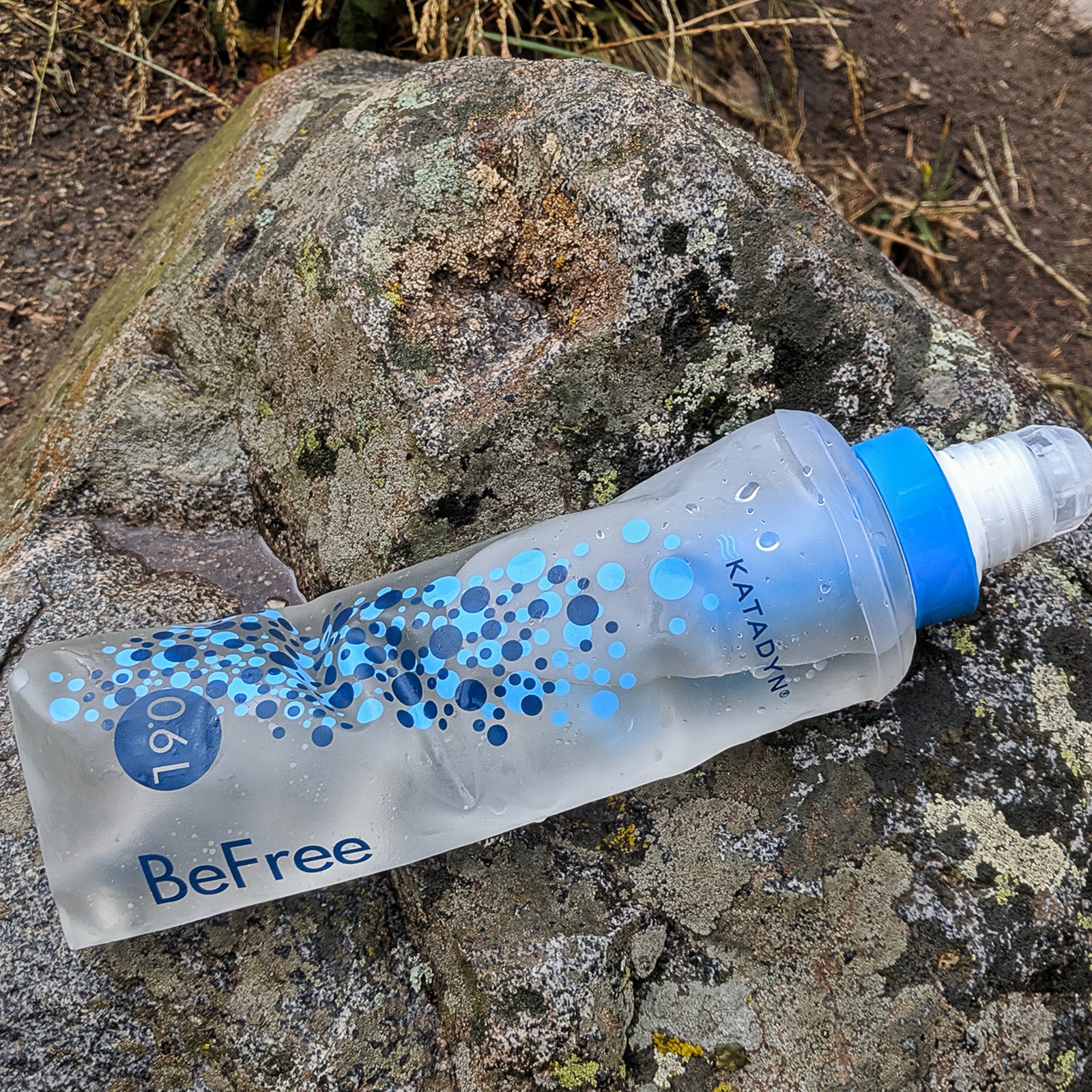 BeFree Water Filter Review