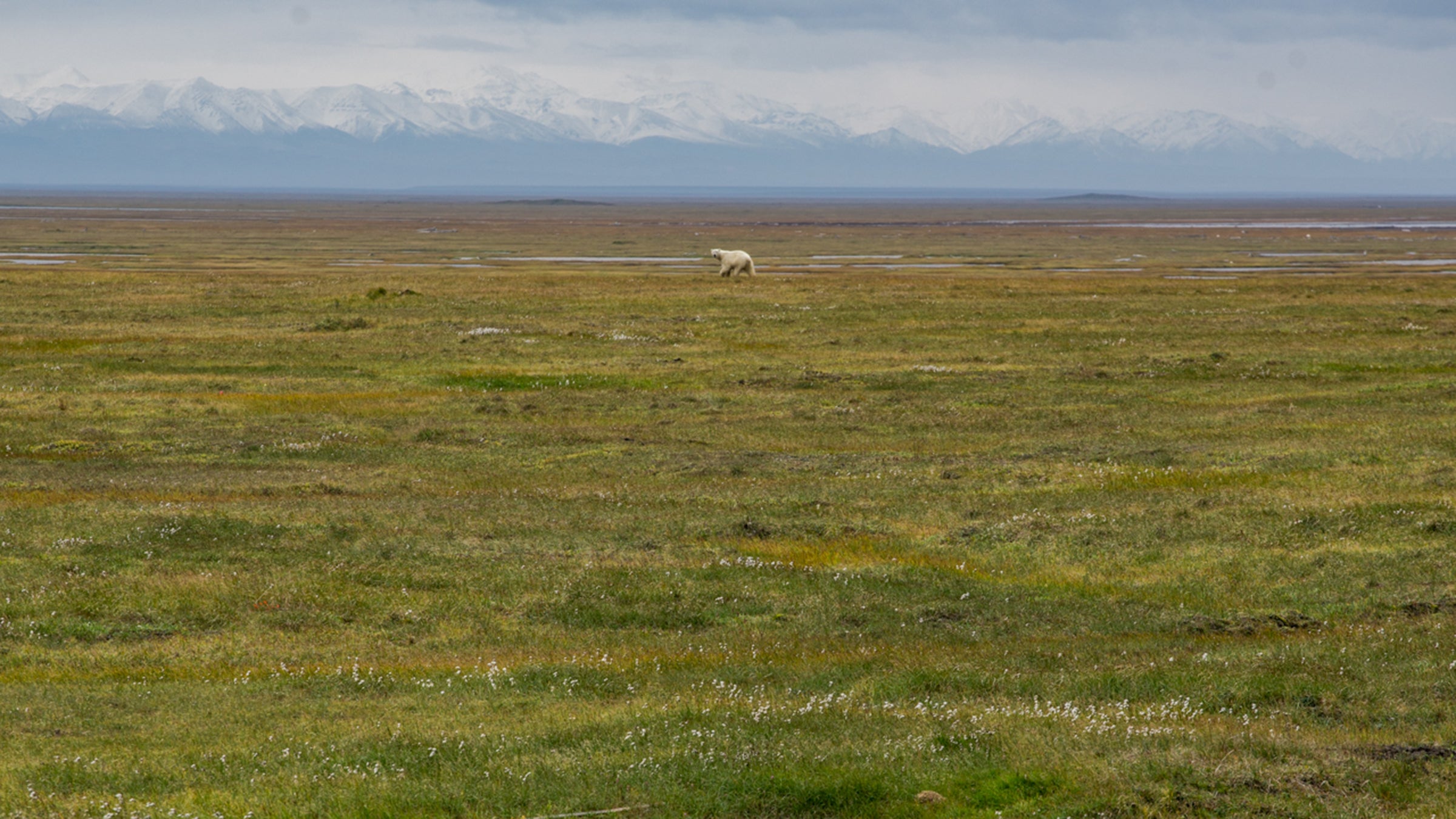 Arctic National Wildlife Refuge