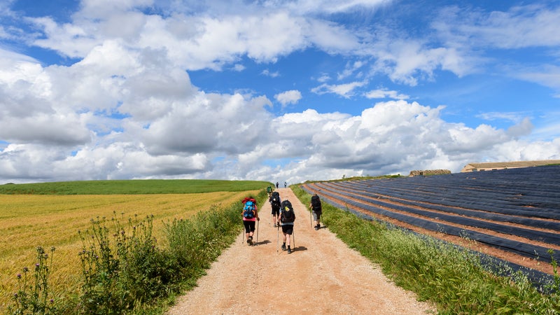 Pilgrims walking the Camino de Santiago in Spain's Navarre region