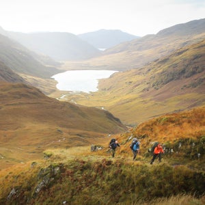 Getting into nature feels like a miracle in the wilderness-starved United Kingdom.