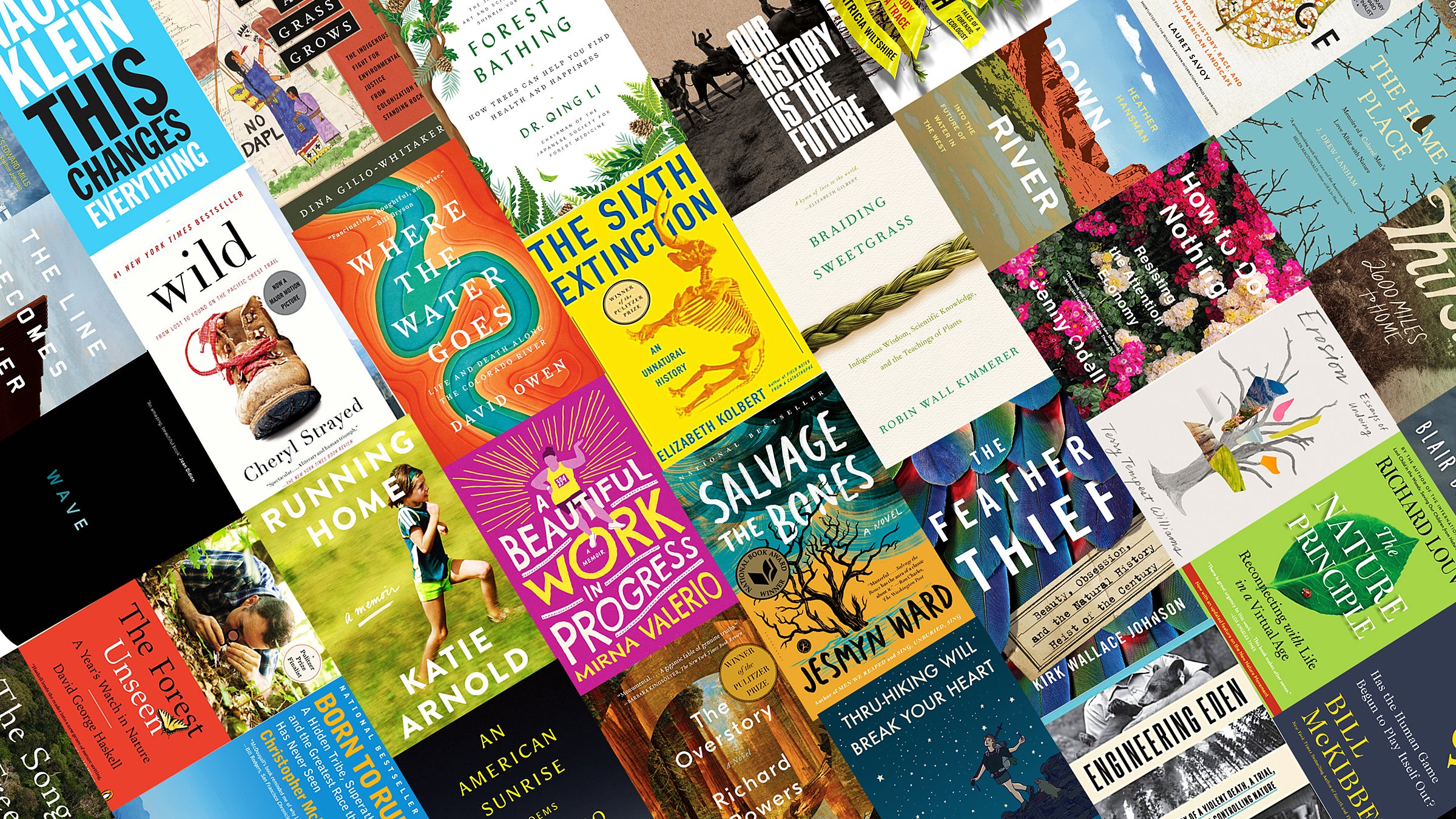 Books A Million Jobs Florence Al Books A Million