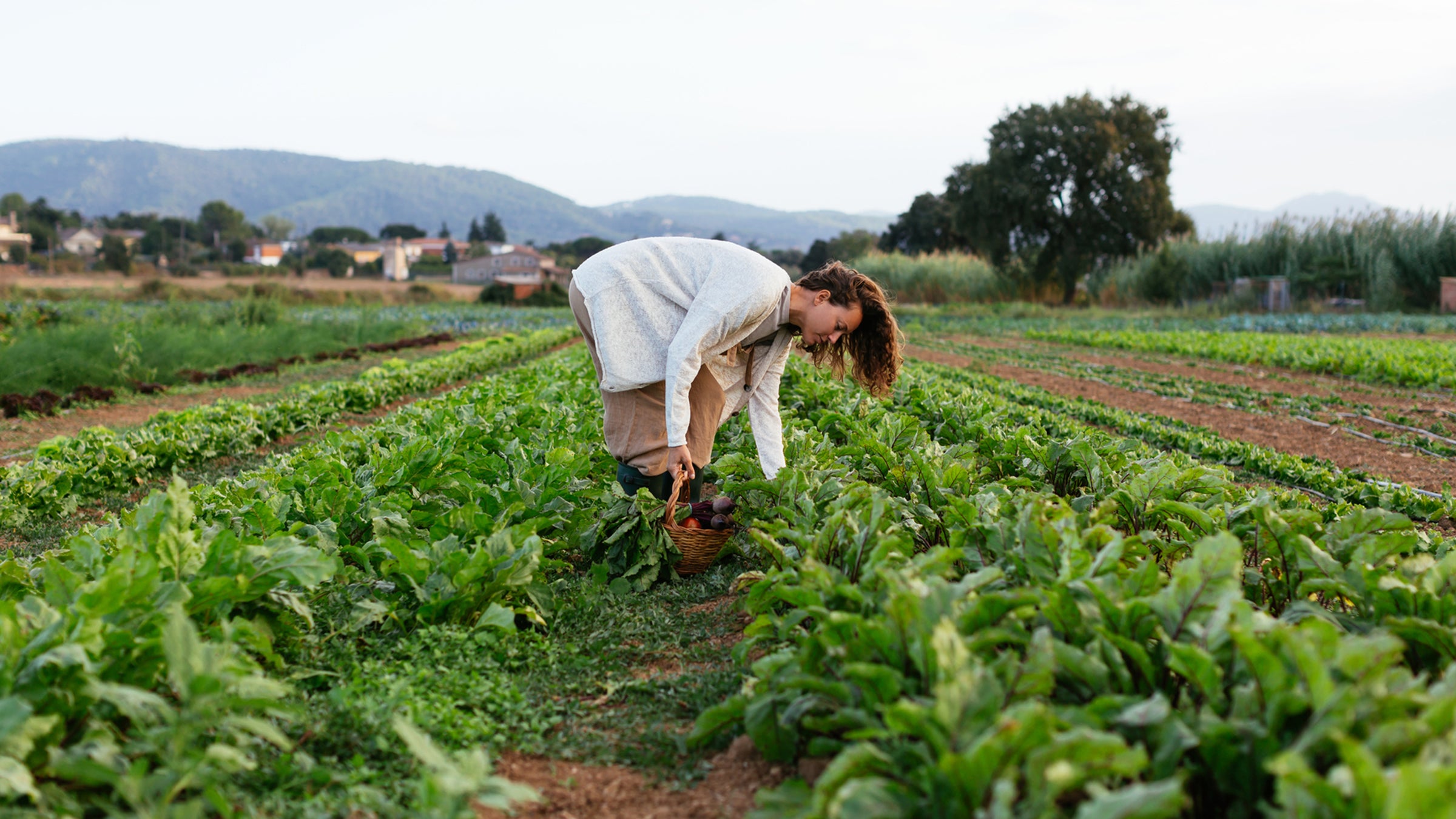 Ag creates food and fiber and jobs. And when it’s done right, it can act as a carbon sink.