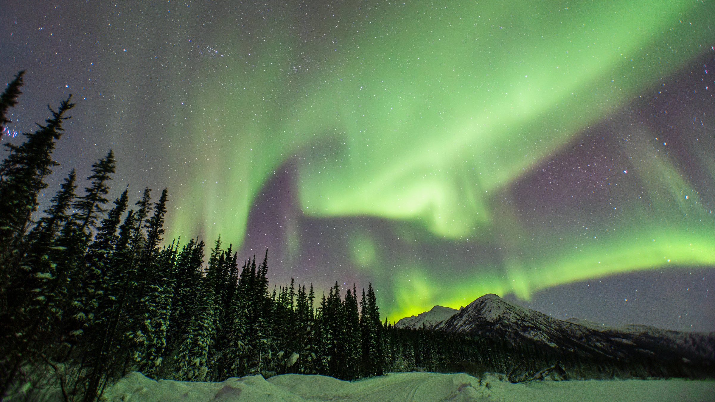 Praise the famous northern lights trusty read