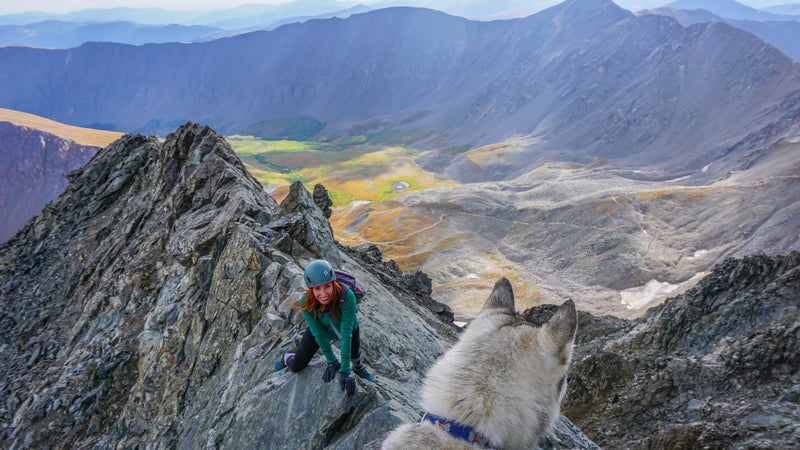 Dog adventure