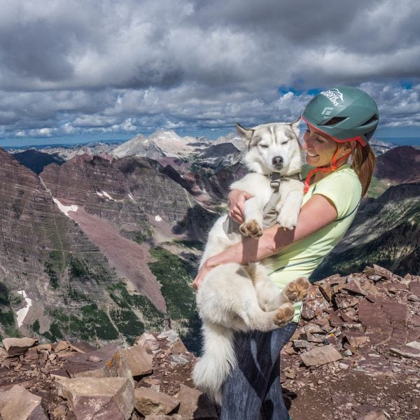 Dog adventure