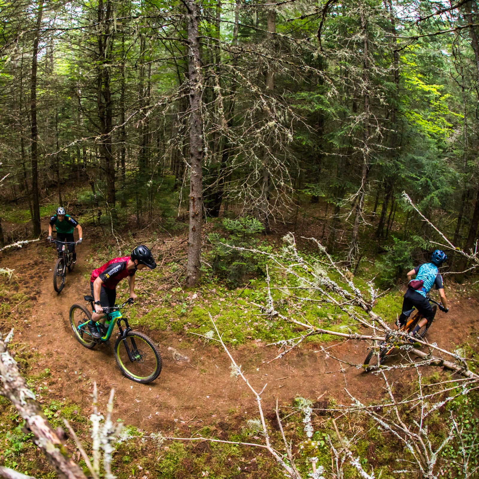 Kingdom Trails