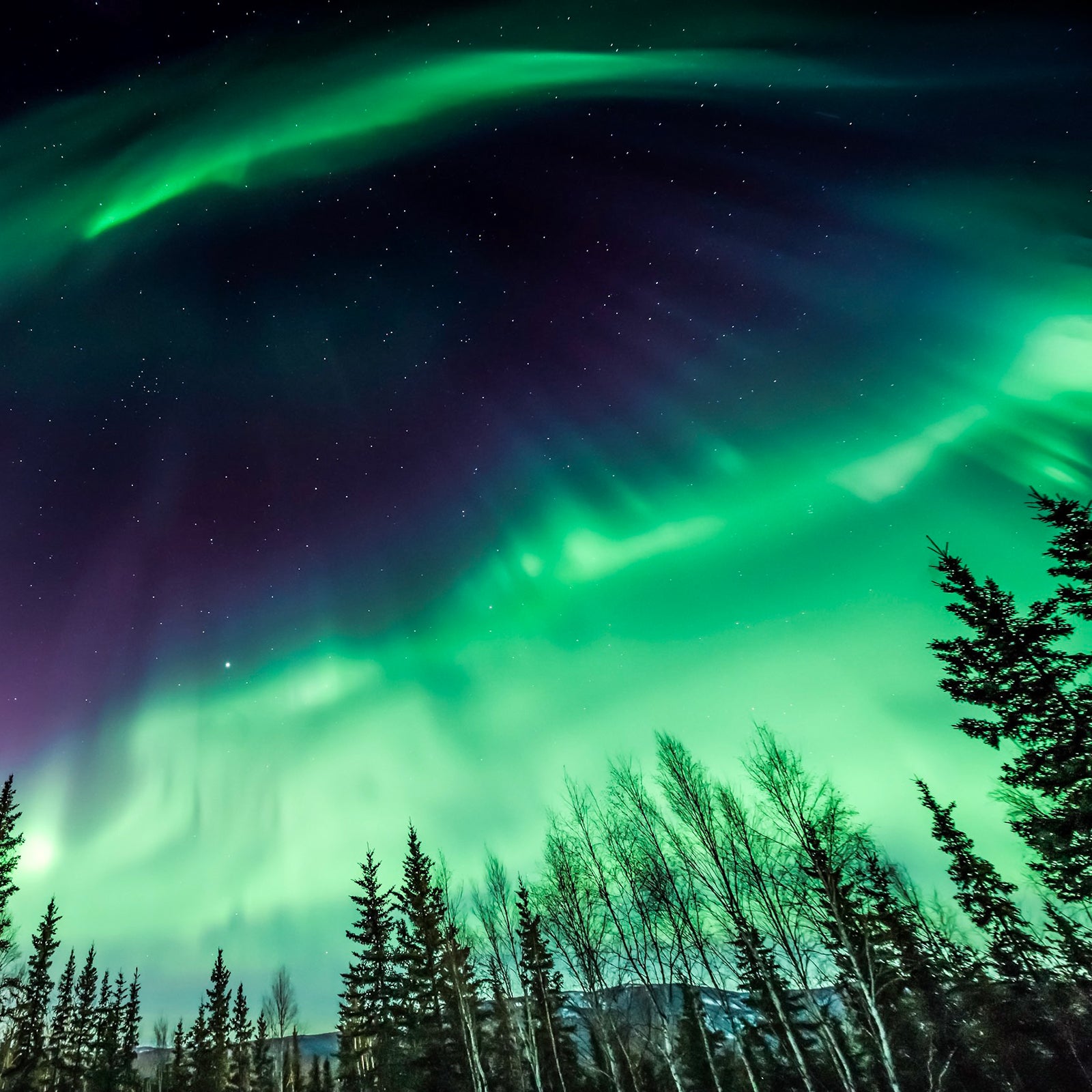 Northern Light