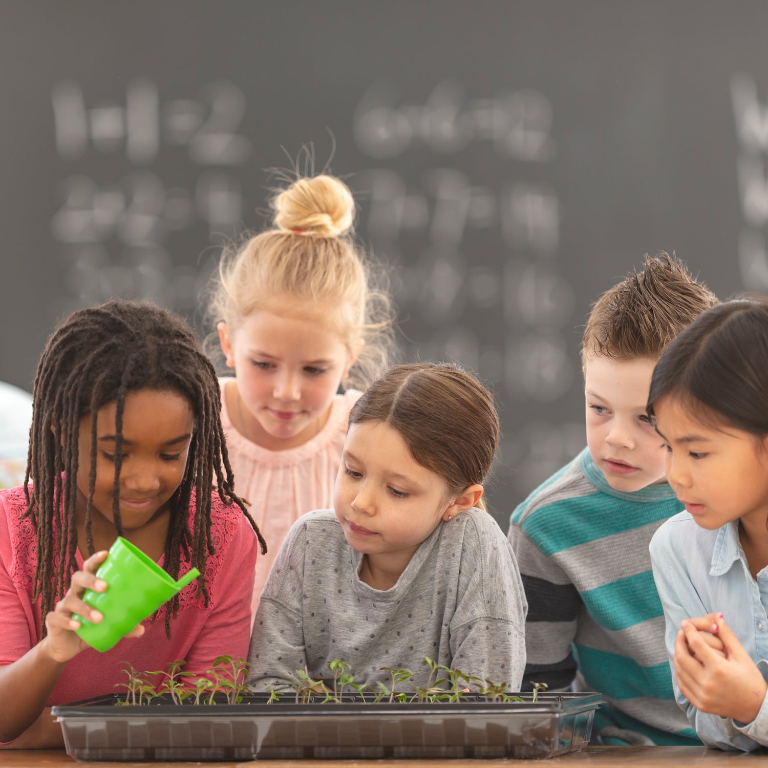 Beginning later this year, every public-school student in Italy will spend a week’s worth of classroom time learning about climate change.