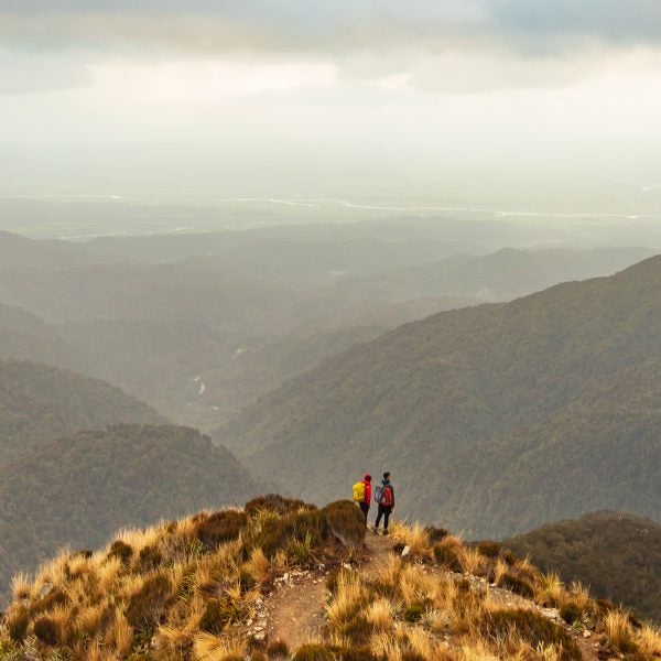 Paparoa Track