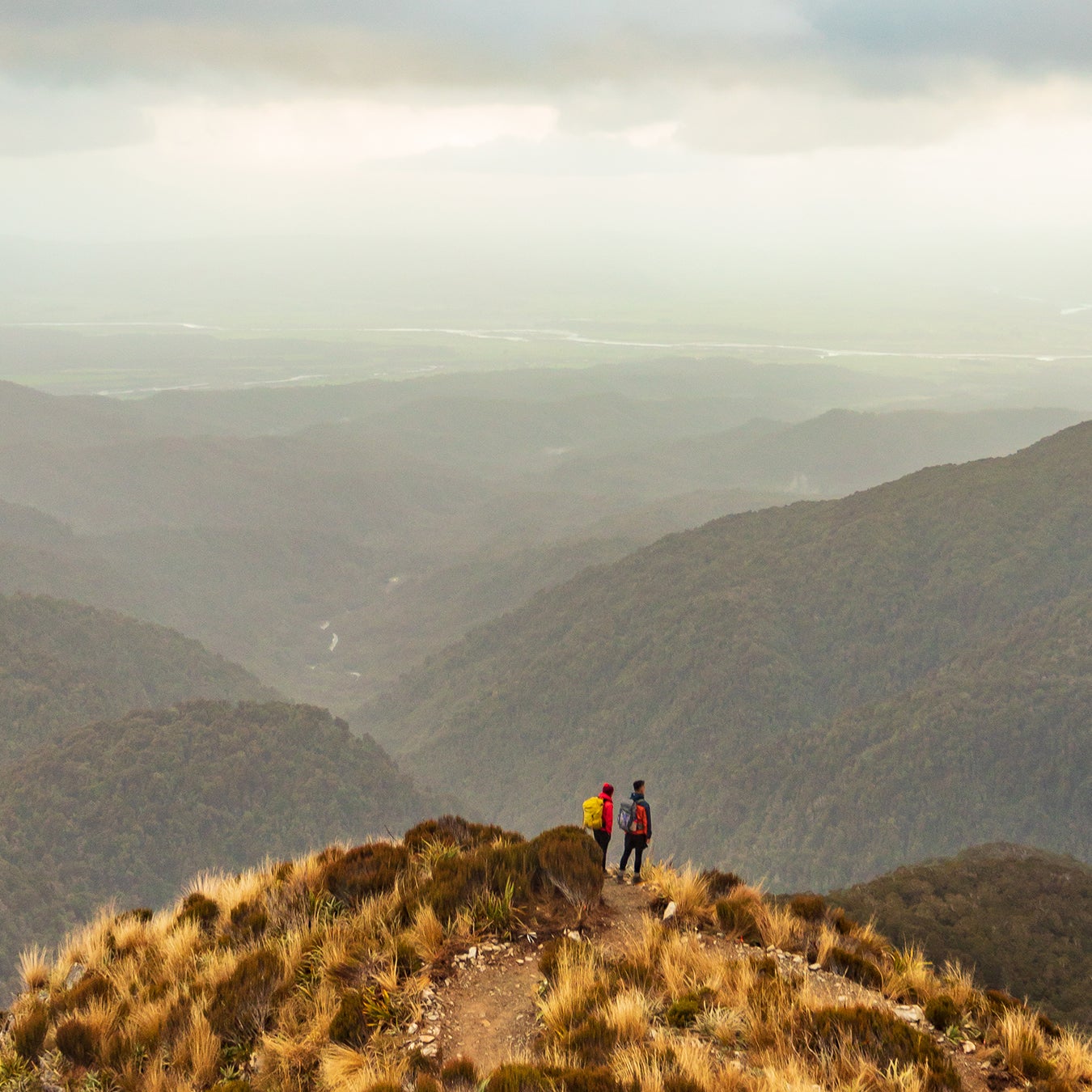 Paparoa Track
