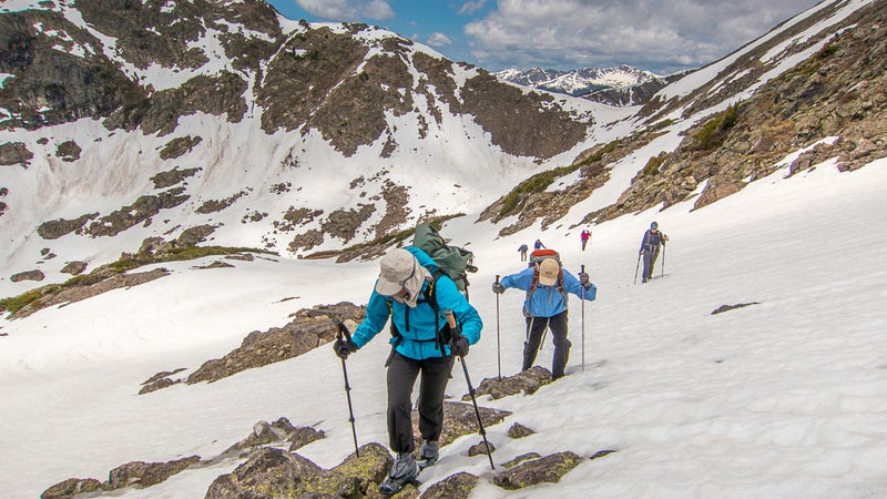 Trekking Poles