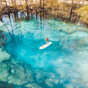 Ginnie Springs, a 35-minute drive southeast from Troy Spring, has a series of seven aquamarine pools along a two-mile trail that runs parallel to the Santa Fe River, filled with large gar, bass, and turtles.