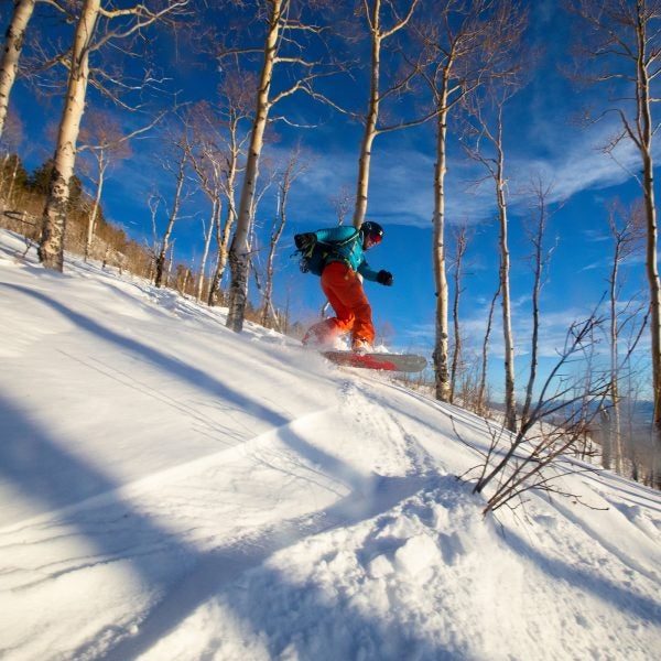 backcountry ski
