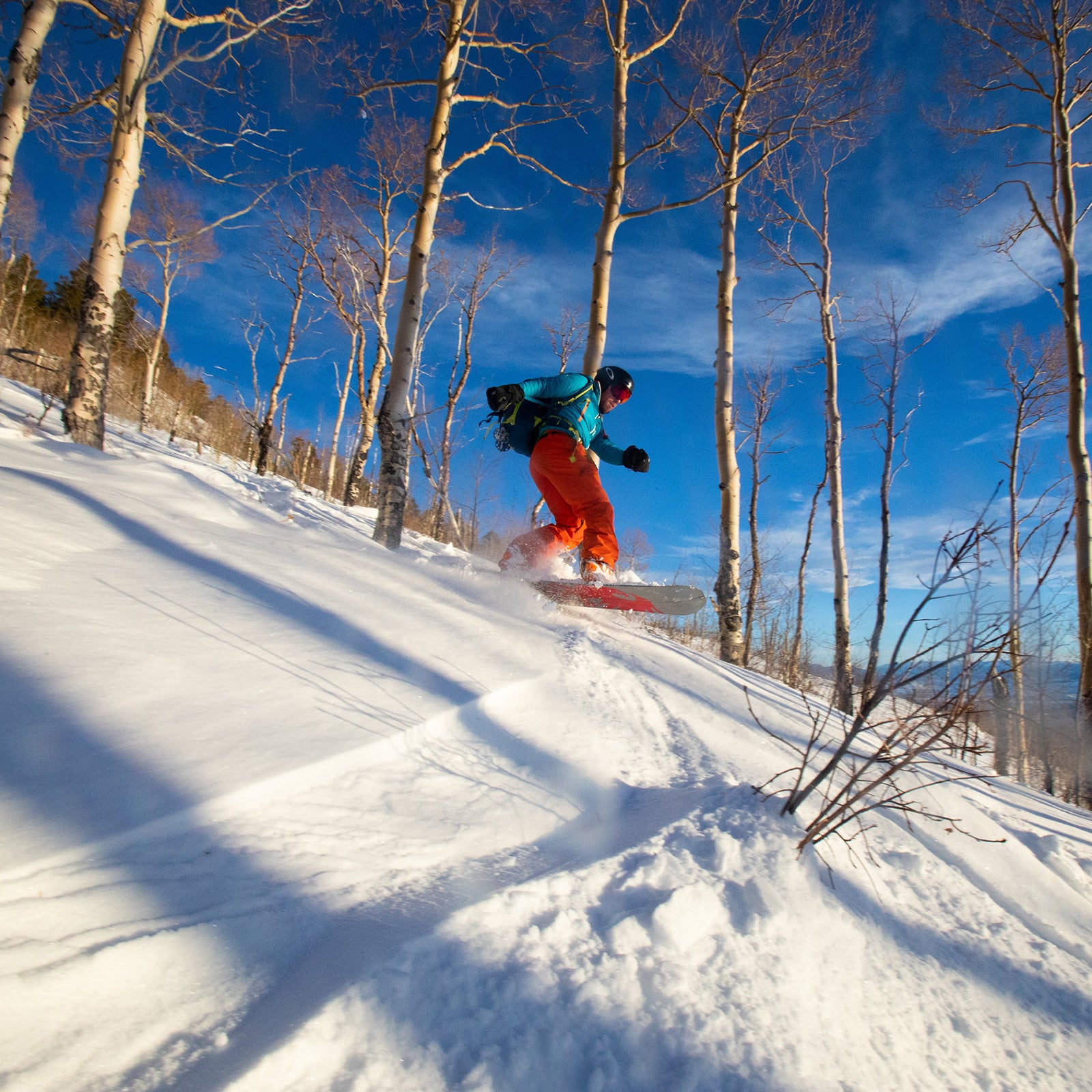 backcountry ski