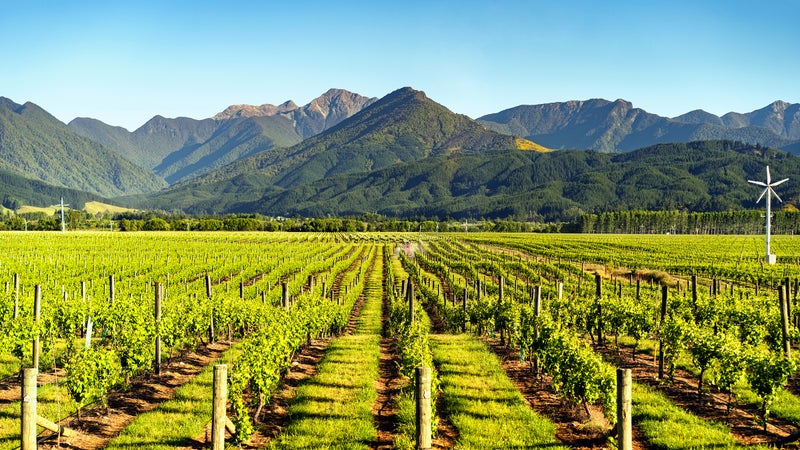 New Zealand South Island