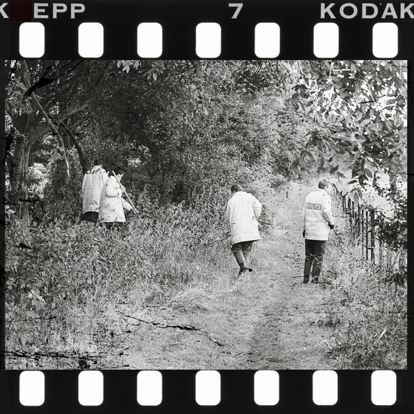 What are the odds of a person crossing paths with a killer on an empty trail?
