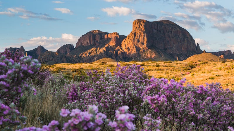 Big Bend