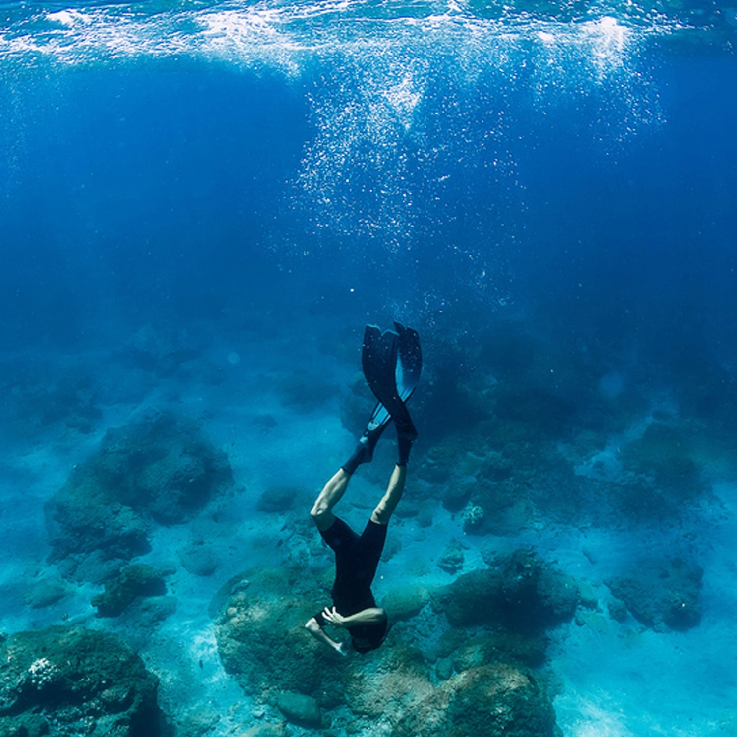 Professional freediver in wetsuit dive in the ocean