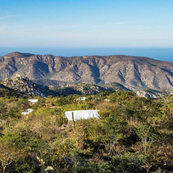 Baja adventures