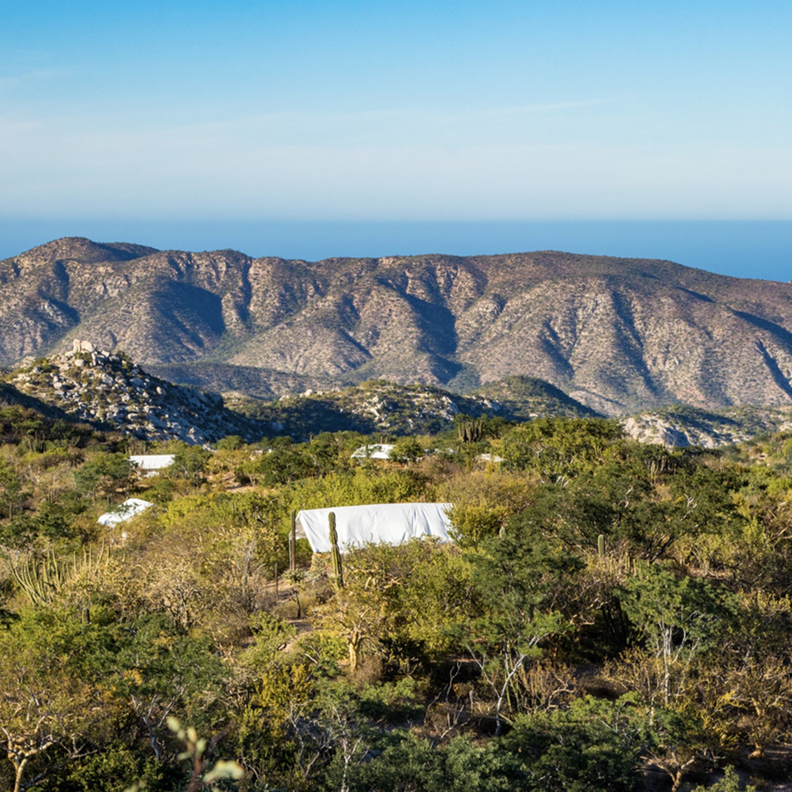 Baja adventures