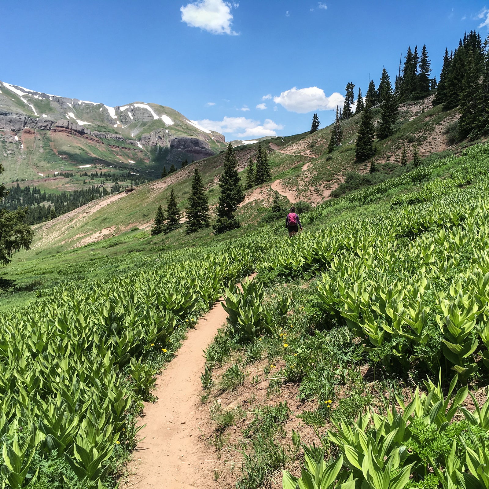 Thru-hikers
