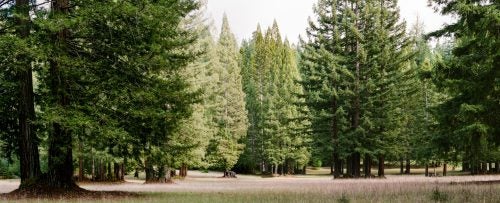 Bella Ranch