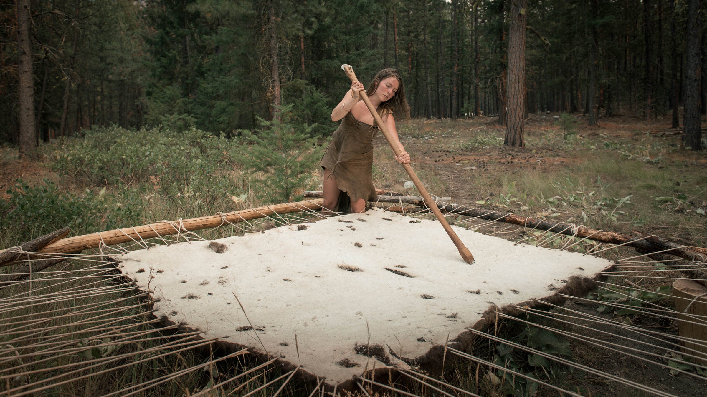 A student softens a bison hide on Lynx’s property in Twisp before the backcountry segment of the 2014 project. The resulting tanned hide will provide an insulating layer that she can cover her entire body with when out in the wild.
