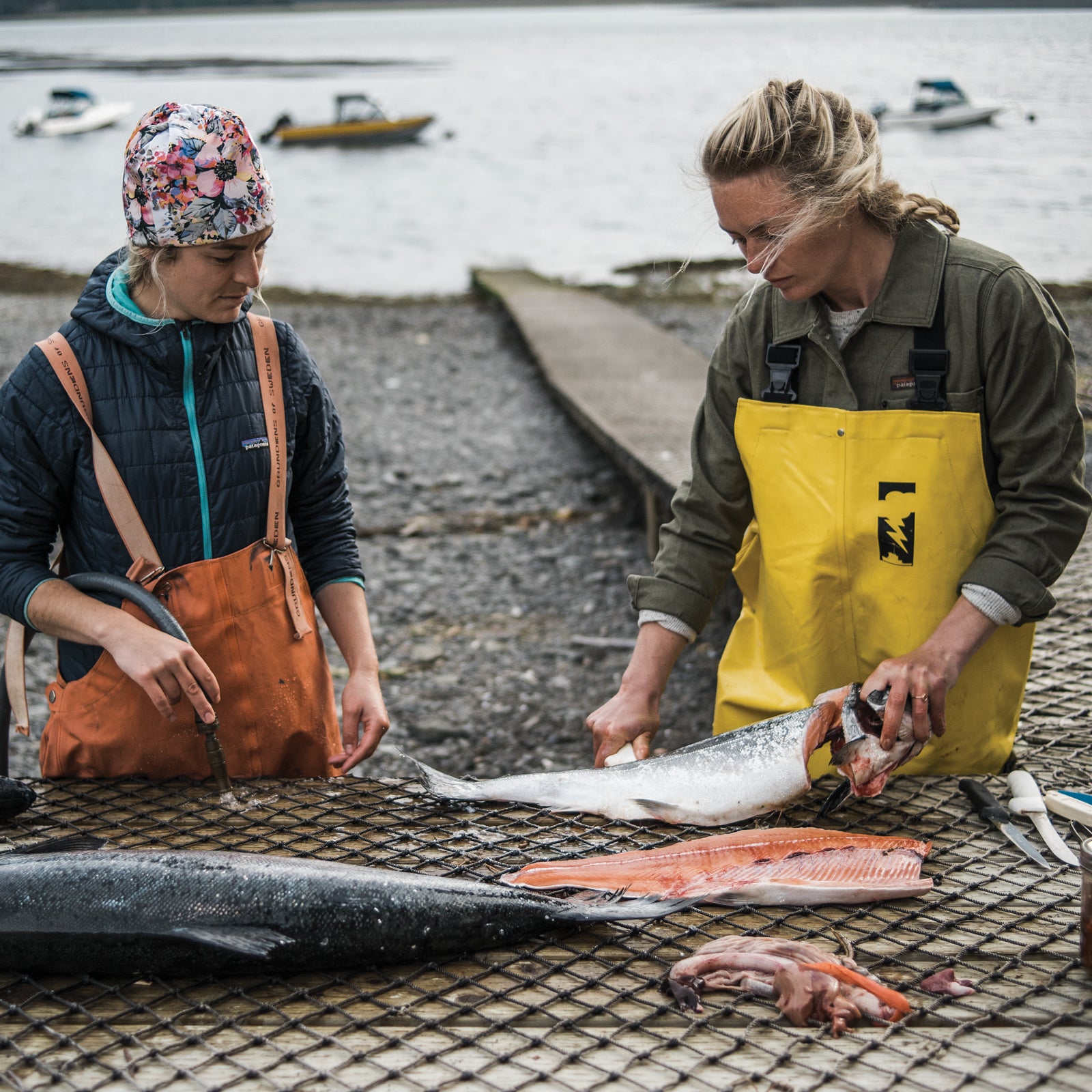 Salmon Sisters