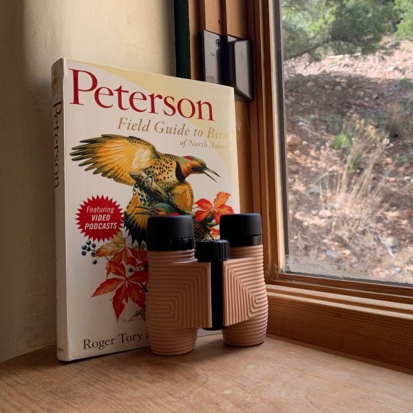 bird watching