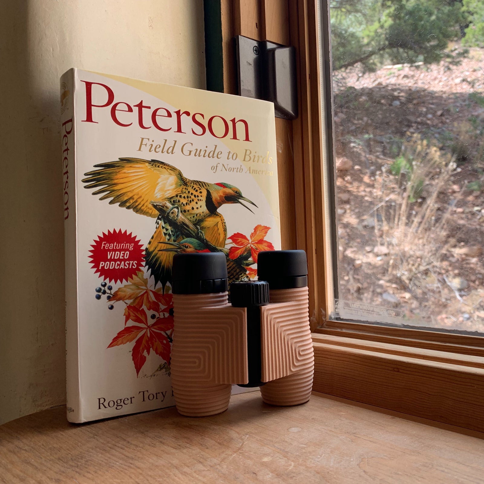 bird watching