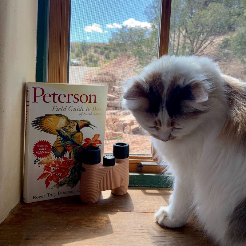 bird watching