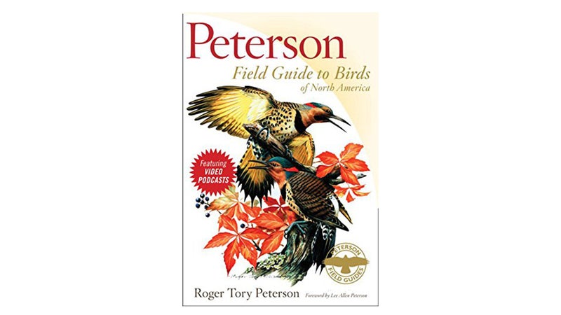 For birding