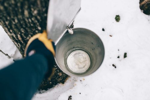 Making syrup