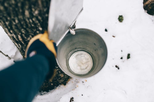 Making syrup