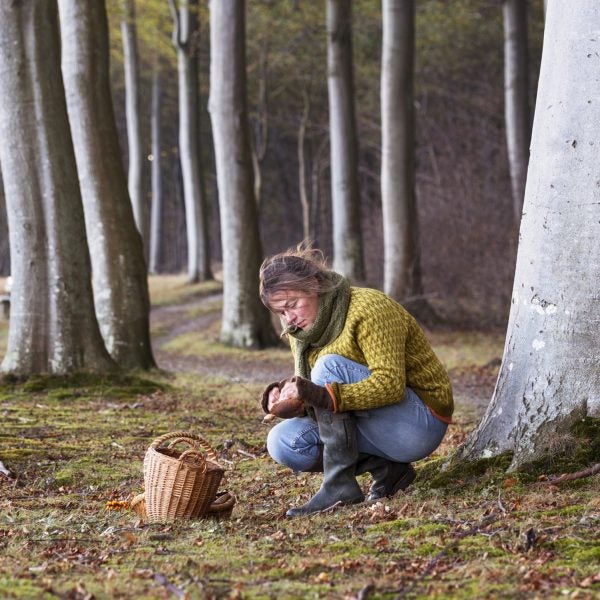 Food Forager