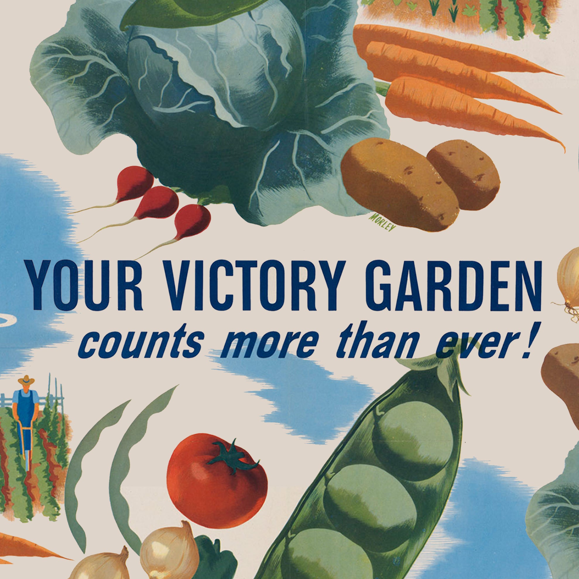 It’s hard to express the pride and lovingness and delight in seeing a plant germinate, and grow tall and hardy, and then flower and put fruit out.