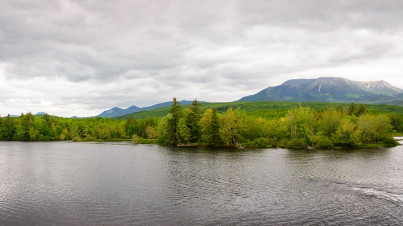 Maine North Woods