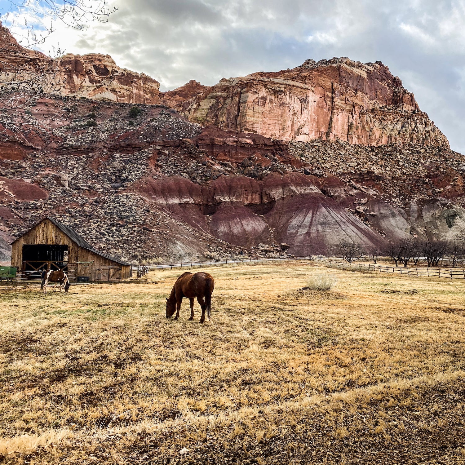 Gifford Homestead